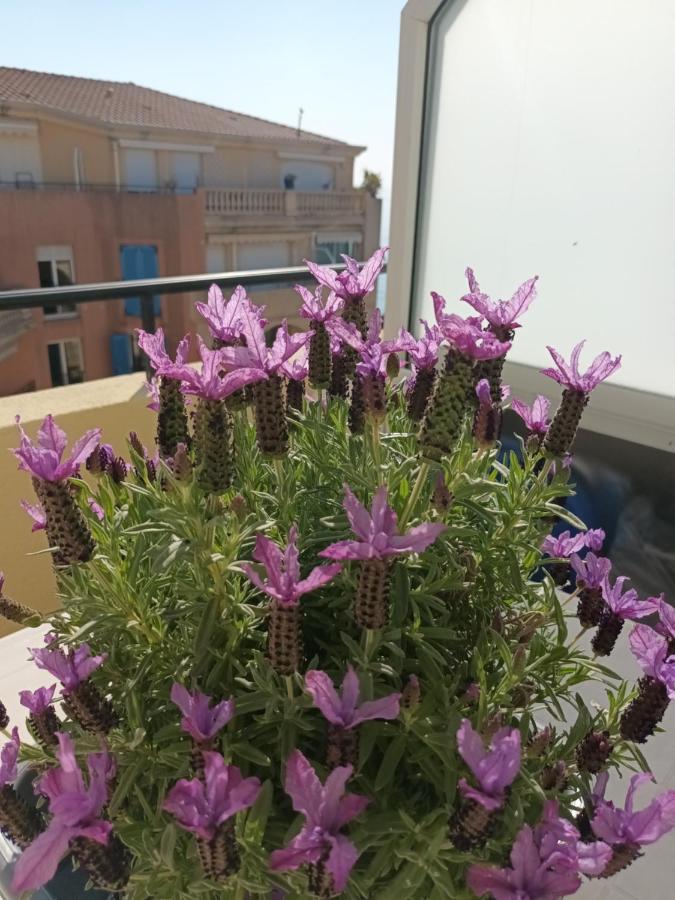 Attico Victoria Palace Suggestivo E Spettacolare Menton Eksteriør bilde
